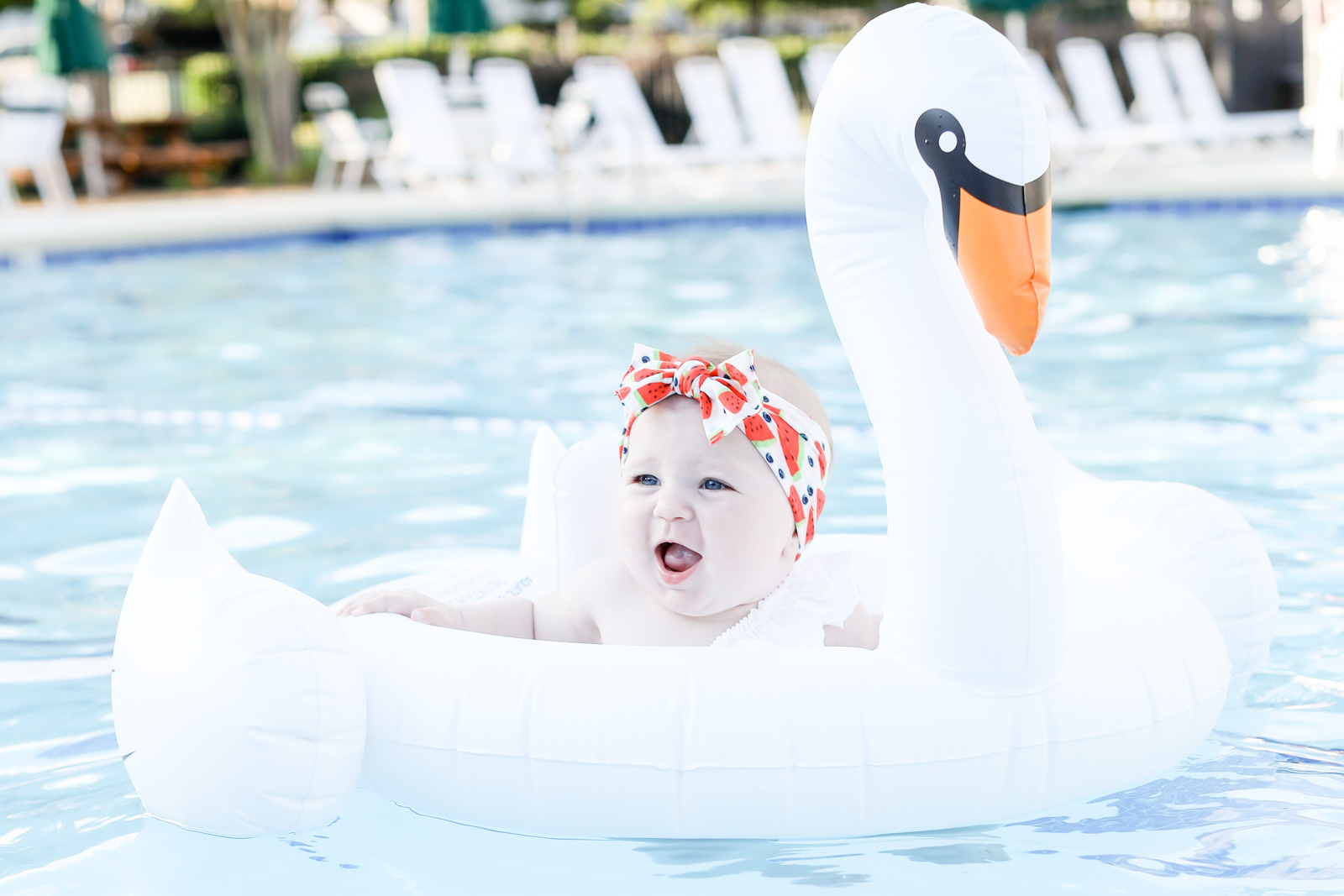 swan baby float flamingo baby float baby bling watermelon bow | elle bowes